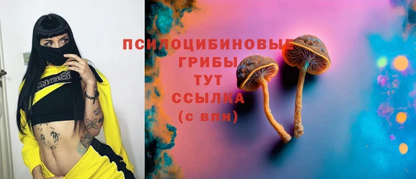 ПСИЛОЦИБИНОВЫЕ ГРИБЫ Арсеньев